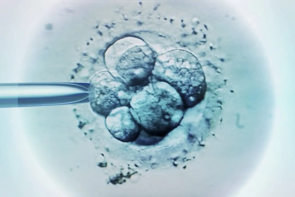 Дети, рожденные с использованием ДНК&hellip;