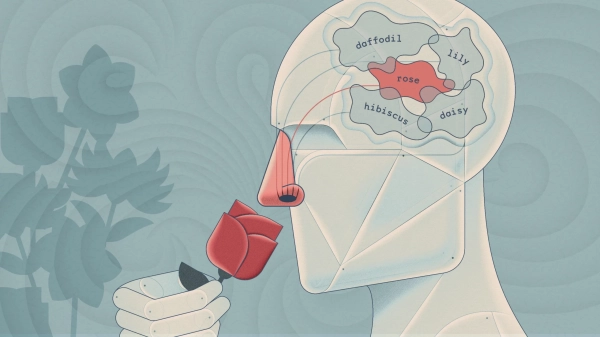 Модель ИИ связывает молекулы запаха&hellip;