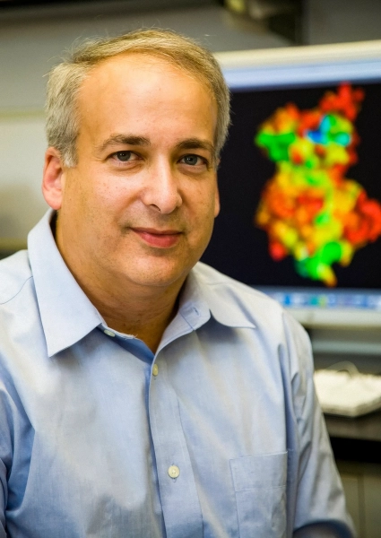 Как связывание двух молекул мозга создает воспоминания, которые сохраняются на всю жизнь 3 Изображение может содержать Лицо Голова Человек Фотография Портрет Одежда Рубашка Взрослый Счастливая Улыбка и Ребенок