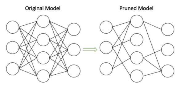 Cхематичная иллюстрация работы прунинга. Источник изображения Cхематичная иллюстрация работы прунинга. Источник изображения