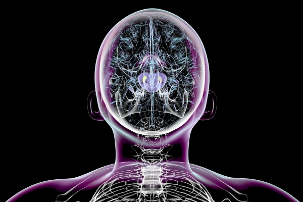 Ученым удалось обратить вспять симптомы&hellip;