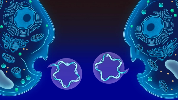 Клетки Древа Жизни обмениваются «текстовыми&hellip;