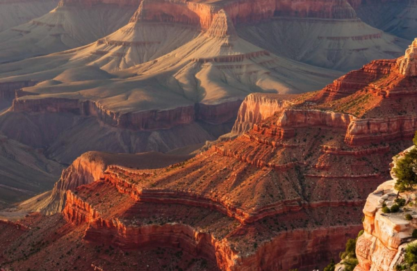 Окаменелости в Гранд-Каньоне указывают на странные эксперименты эволюции 1 ad51528709d1f4b770d86805d9ef1e80.jpg