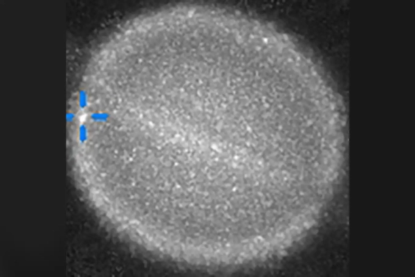 Неужели что-то только что столкнулось&hellip;