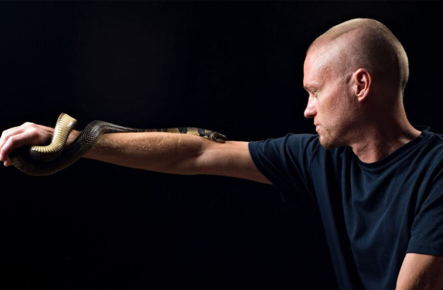 Противоядие от многих змей получают&hellip;