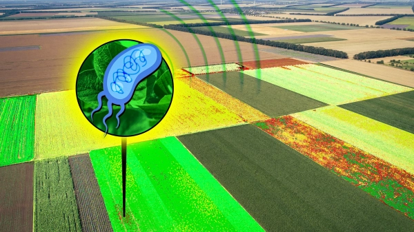 Сигналы урожая