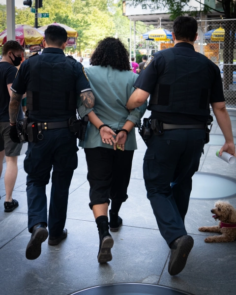 Магазин Apple на 5-й авеню расписан баллончиками в знак протеста против «климатического лицемерия» 4 dcaa931be81a12ca1413dc82c1148e2b