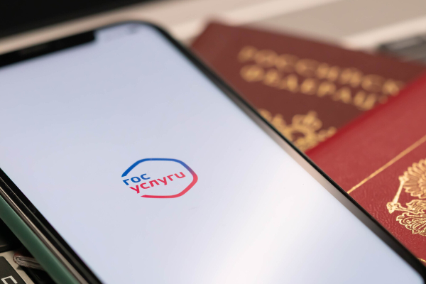 Низкоорбитальная спутниковая связь будет использоваться для входа в Госуслуги на Крайнем севере 5 eabd6a8a34688176a8acb8c8f0c8de14.jpg