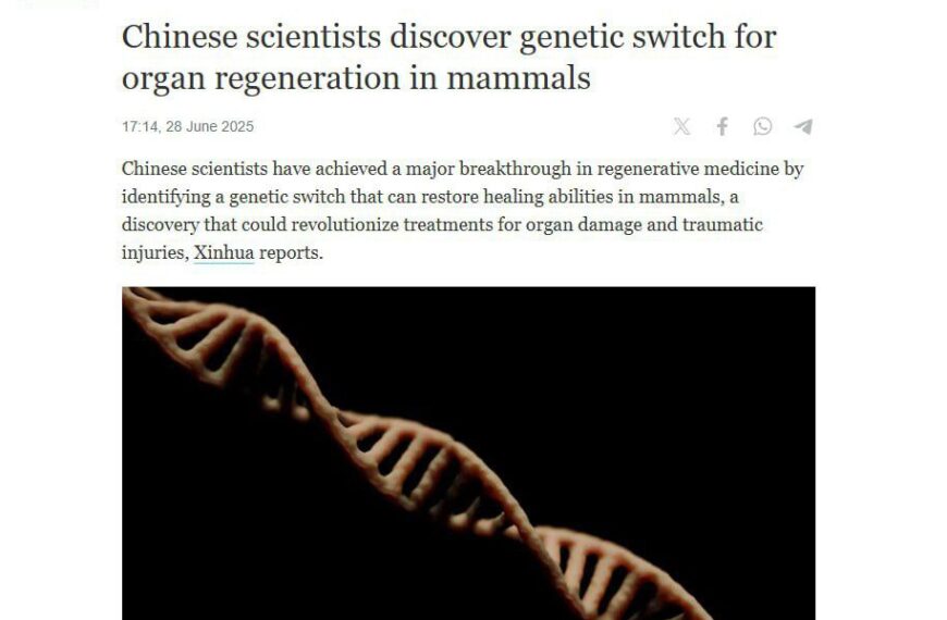 Китайские ученые открыли РЕГЕНЕРАЦИЮ у&hellip;
