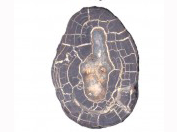 Подводные группировки: в РАН рассказали, как будут исследовать ресурсы Мирового океана