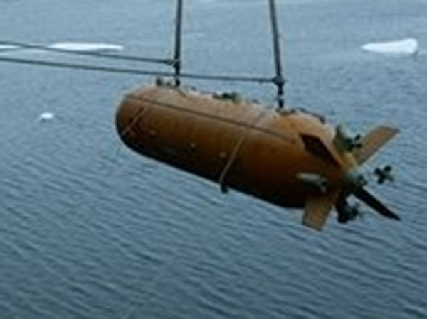 Подводные группировки: в РАН рассказали, как будут исследовать ресурсы Мирового океана