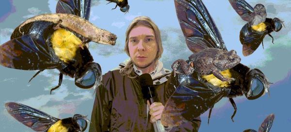 0cd7c41957355cdc79d60b34b7a10015