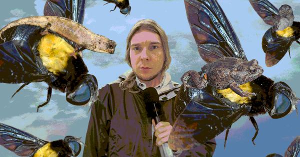 N + 10 нефантастических тварей. От жужжал до скелетов панд 7 21e11669e94d2ecc4068ba7f2f0d6606.png