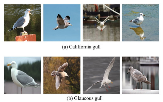 2e78649b873a78b3635d53a46bf1fc00