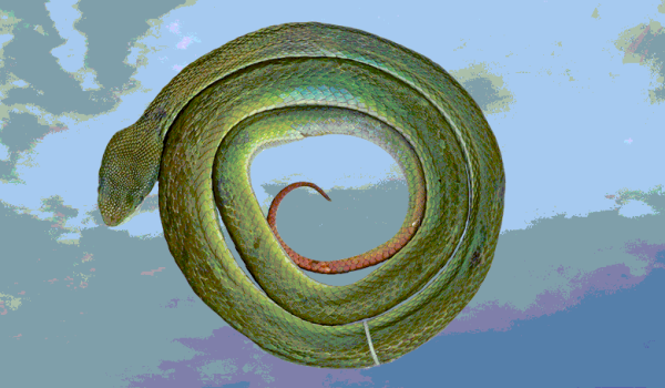 35138d0b5716bb05acdf499da7469c0f