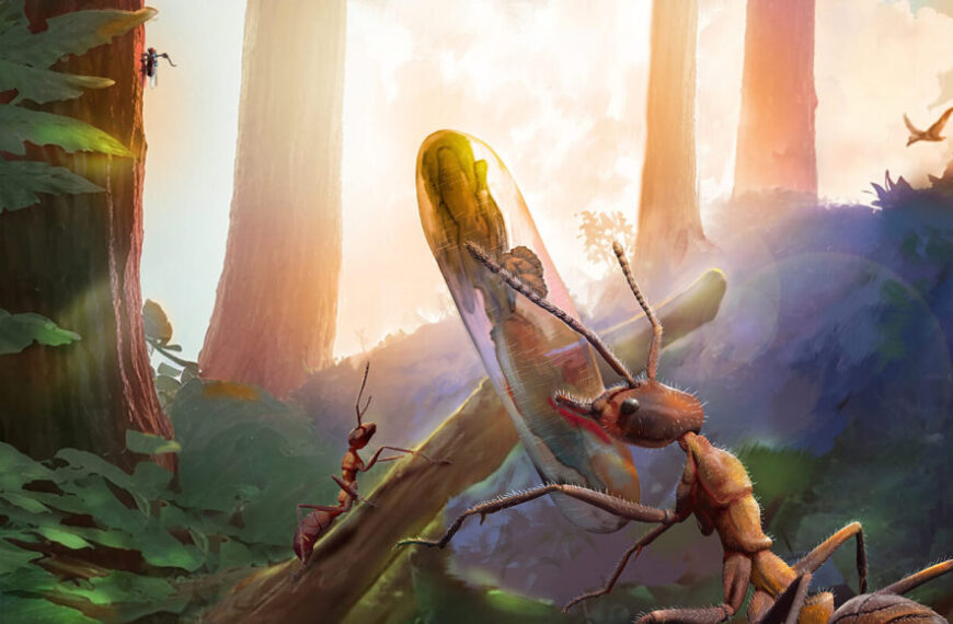 Грибы ‘зомбируют’ насекомых уже 99&hellip;