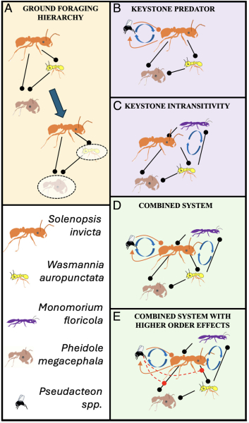 3f2a6338ae79ead42e306012ee830bcd