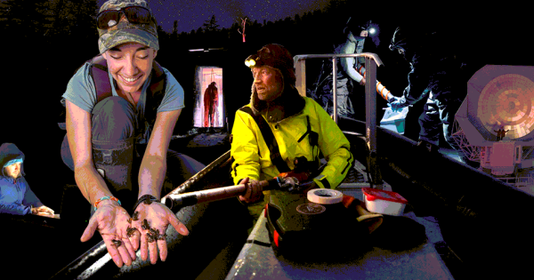 Кто ты без халата. Как выглядит&hellip;