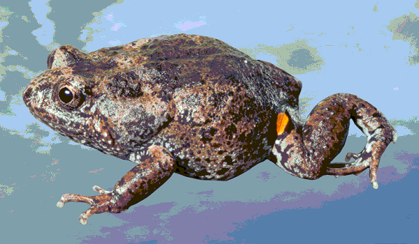 74b3353ea3b5b0a4e4a9c457a2d0a0de