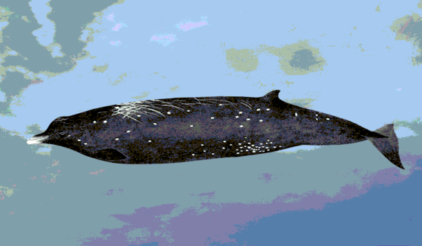 8a0e1126d6f6d3abbe36102d042371b1