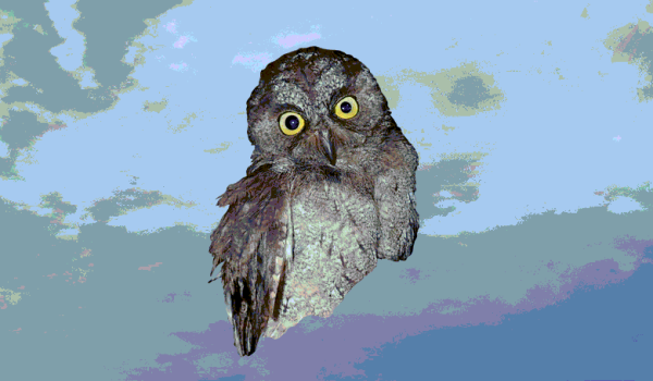 8d14c11474840066414bceb77563b917