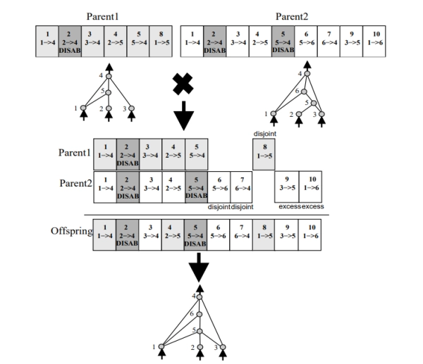 92b0c3a9da9b752ecc3290e7062ec0c9