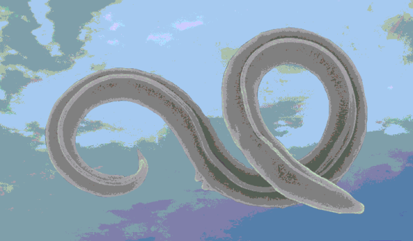 a7e49ad9718645910949becca9790f14