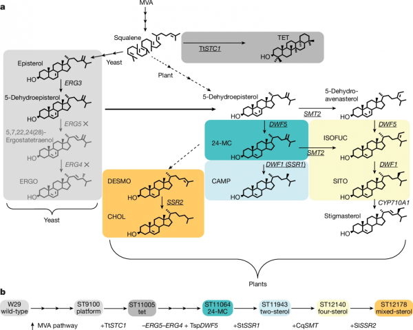 b355d78f186c6ba94c2d248995e5faa1