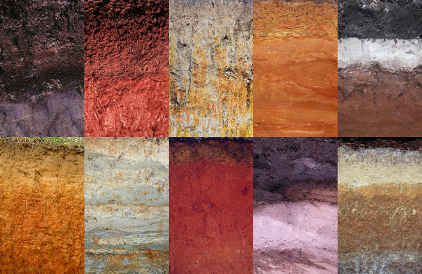 Под нашими ногами — мир скрытой жизни 2 d3875ea0fbbf0e9a73cd094274d6af87.jpg