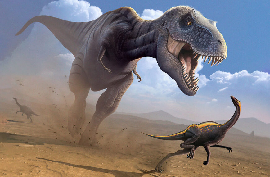 Новые сведения о скорости динозавров&hellip;