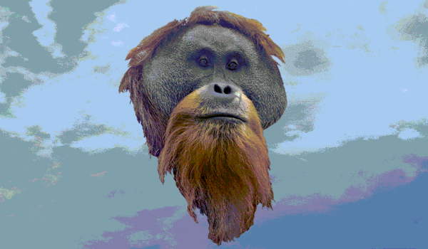 e3a34a9f84fa64434cc2e3f6c097d991