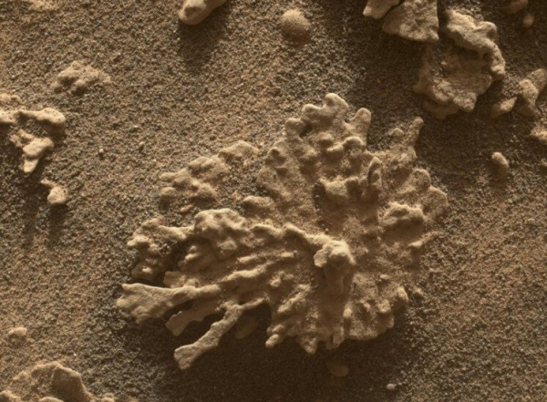 Марсоход Curiosity обнаружил необычный камень, напоминающий коралл