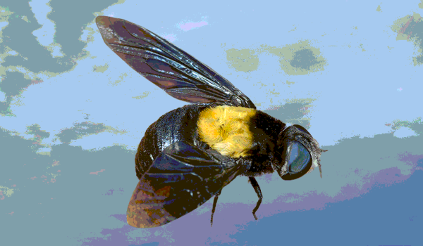 fa3f57ed0b3c76d9c478df13051c9517