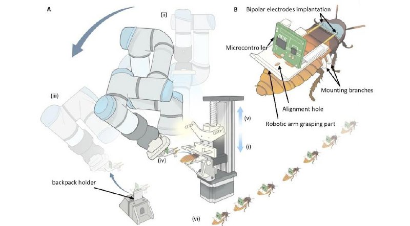 Армию ТАРАКАНОВ-КИБОРГОВ готовят в Сингапуре&hellip;