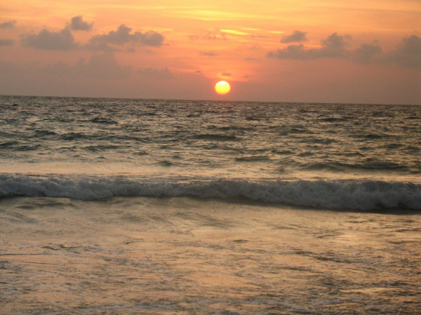 Повышение температуры океанов вынудило рыб&hellip;