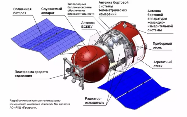 Внешний вид и устройство "Биона" Внешний вид и устройство "Биона"