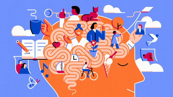 Концептуальные клетки помогают мозгу абстрагировать информацию и формировать воспоминания 3 0fb7ffeba2f04a770a3dc9784e8af3e3.webp