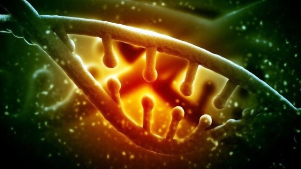 Космос пробуждает спящие нити ДНК