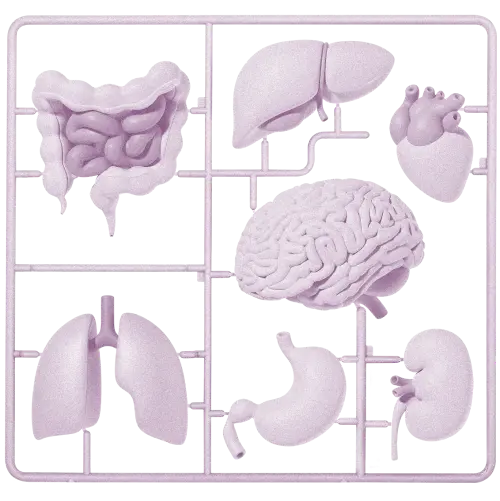 10 прорывных технологий 2025 года 22 Терапия стволовыми клетками, которая работает