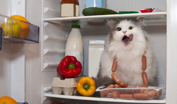 Удваивая эффективность: термоэлектрическое охлаждение