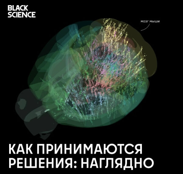 Нейронная карта принятия решений