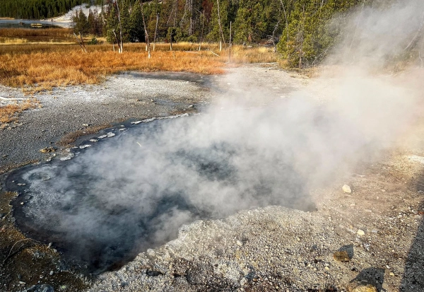 В термальном источнике Roadside West в Йеллоустонском национальном парке исследователи выделили необычный микроб из...