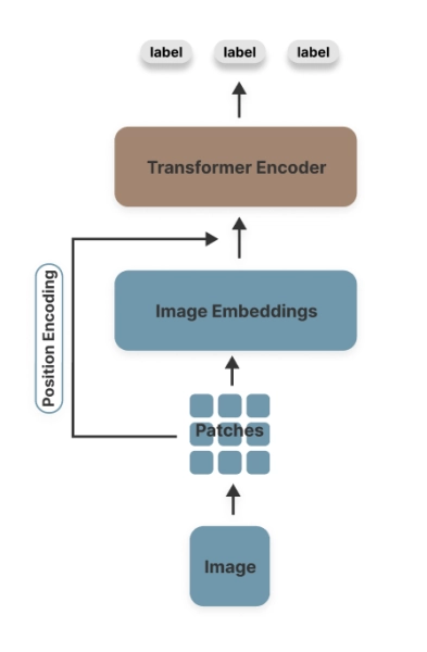 Архитектура модели ViT