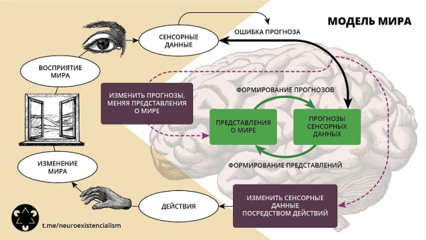 Теория предсказательного разума Теория предсказательного разума