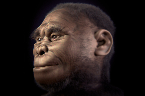 Хоббиты, похищающие детей. Что за карликовый&hellip;