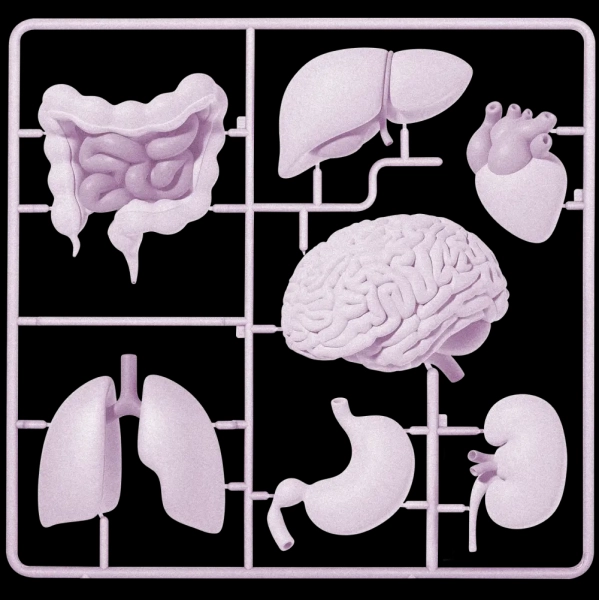 10 прорывных технологий 2025 года 19 3a915e2feed4eca81030a4b6689ba16f