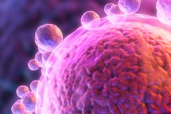 Яйцеклетки, созданные с использованием ДНК из человеческой кожи, оплодотворенные в лабораторных условиях 2 45ea2af2995c117daf175b8f1b4165b6.jpg