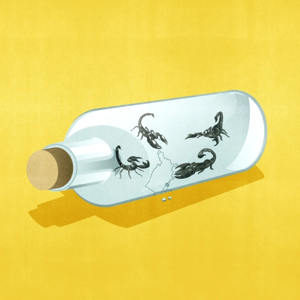 контур Соединенных Штатов внутри закупоренной стеклянной бутылки со скорпионами