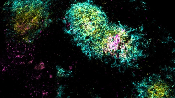 Одноразовые вакцины от ВИЧ и COVID 3 51546468cf0e2e0cfe7cd30f5f7ba7da.jpg