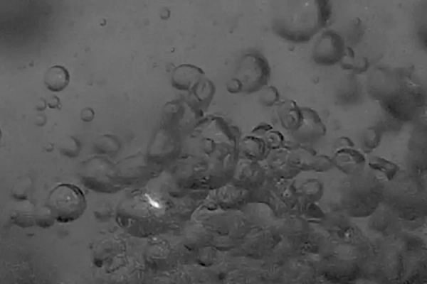 51c896ae9771de5d1b525a54f50e59e8